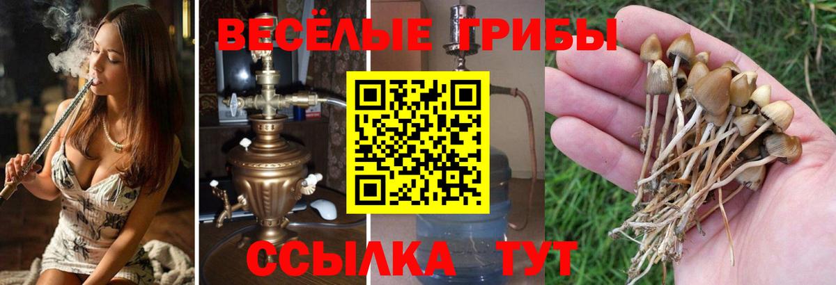 Псилоцибиновые грибы ЛСД  Вход с VPN  Шадринск 